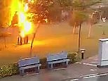 Horrific moment four gardeners are struck by lightning under a tree in India