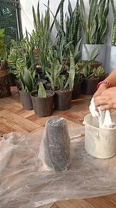 6K views · 93 reactions | Upcycle an old cloth and make a unique planter that will last for years. #diyhomedecor #diyplanter | Flower lovers | Facebook