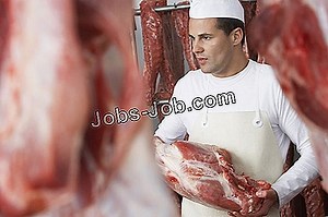 Meat Packer Job Beschreibung | Stellenbeschreibung - 2026