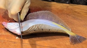 56K views · 440 reactions | Korea Street Food HALIBUT SASHIMI flounder | A Video | Facebook