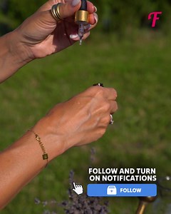 A low-tech way to extract essential oil from lavender flowers | Fabiosa India