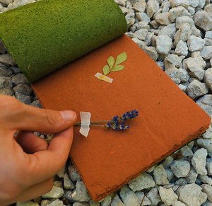 43K views · 192 reactions | Secrets Of Ancient Notebook Crafting Methods! | 5-Minute Crafts Play | Facebook