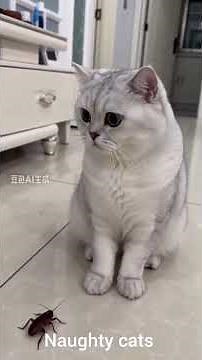 Funny Cat Moments That Will Make You Laugh 😂🐱 #Shorts
