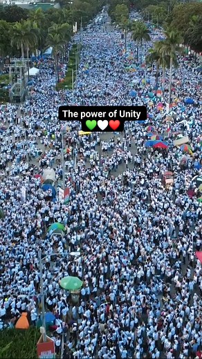 The power of Unity 💚🤍❤️ #RallyforTransparencyandaBetterDemocracy #Maynila | Positive Mindset