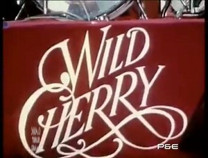 15K views · 525 reactions | Wild Cherry  Play That Funky Music | Peter Karaitiana | Facebook