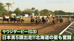 日本馬5頭出走!!北海道の星も奮闘【サウジダービー(G3)】|2026サウジカップデー - 2026サウジカップデー - 2026サウジカップデー (スポーツ) | 無料動画・見逃し配信を見るなら | ABEMA