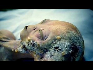 Unsealed Alien Files S03E20 Alien Achilles Heel