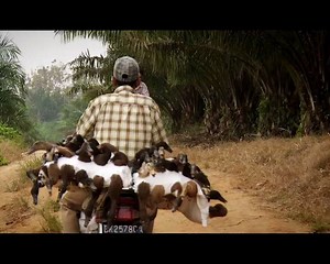 2.5K views · 61 reactions | Оскароносный март на 24_DOC продолжается:...