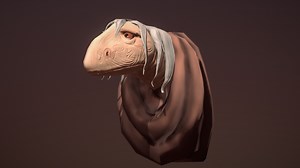 Mystic Character Bust - 3D model by KyraKiweh24