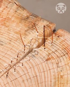 4.3M views · 5K reactions | Repairing Wooden Table With Wire & Epoxy! | Pretty Makeup | Facebook