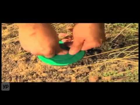 Peninsular Pest Control Services | Jacksonville, FL