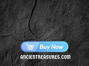 17 reactions | Vikings used necklaces with animals or beasts biting...