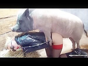 Boar loves his slut