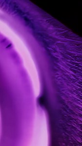 18 reactions | Experience the NEW fragrance Alien Extraintense by Mugler with its delectable key notes of vanilla, jasmine and tuberose. | Ulta Beauty | Facebook