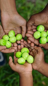 1.5K views | Throw it. Splat it. Love it.  Soft, squishy, colorful fun — with zero mess.  Find Goblies at Walmart, Michaels, or Amazon and make your next backyard battle epic.  #Goblies #SplatSquad #ColorBattle #ThrowSplatRepeat #FamilyFun | Wallace Holyfield | Facebook