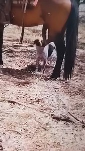 What is he doing | Physics Theories