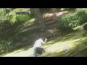 Disturbing Video Surfaces Of Homeless Man Being Tortured In Golden Gate Park