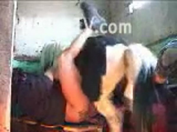 Filthy amateur wife getting missionary fucked by a horse