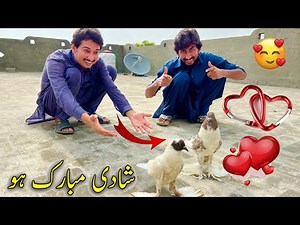 Shadi Mubark Ho😃