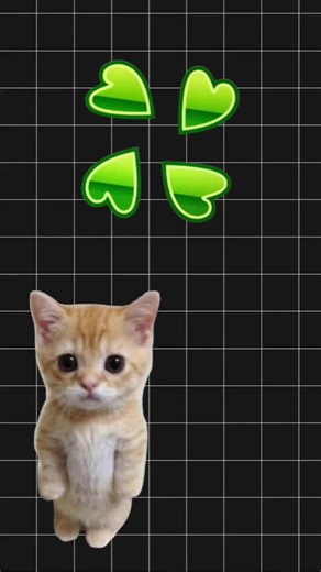 Casos Misteriosos de 4chan: Parte 5