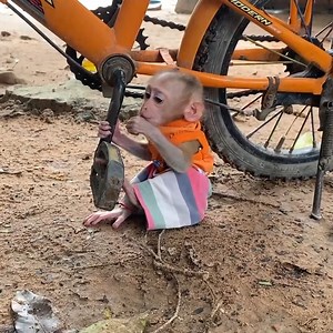 Let go boy... | Tom & Jerry Family