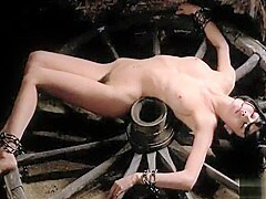 Anicee Alvina in Successive Slidings of Pleasure