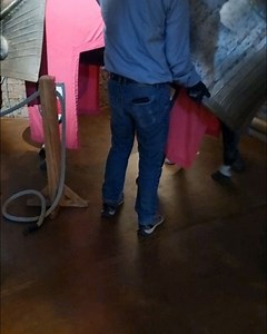 Kasteel Doornenburg on Reels