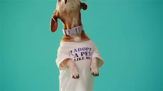 Colorado Gives Day is right around the corner. Did you know that you can give early today? Visit ColoradoGivesDay.org to search thousands of nonprofits and find a cause that matters to you. 🧡 | FirstBank