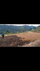 13K views · 122 reactions | Sức mạnh kiếm khí ️#xuhuong #hmoob #edit #vfx | Tub Thaiv Vfx | Facebook