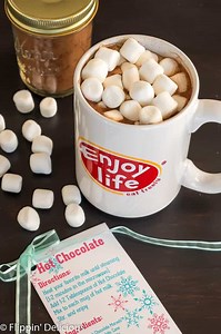 Vegan Hot Chocolate Mix Recipe- Perfect for Gifting