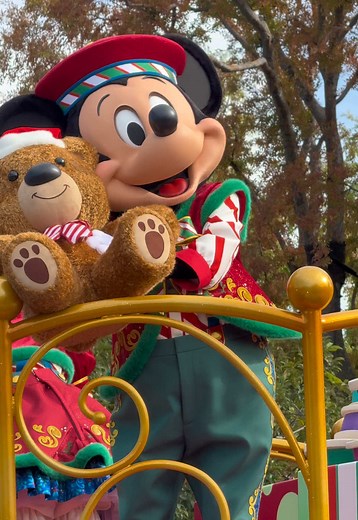 ミキミニさん可愛すぎた😭🫶🏻 #ディズニー #ディズニーランド #ディズニークリスマス #ミッキー #ミニー