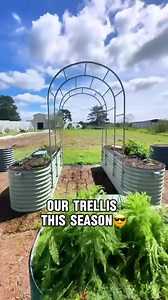 45K views · 280 reactions | Just put some finishing touches on these...