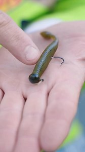 Often copied, never duplicated! #PerfectionLures #BassFishing #Fishing | Perfection Lures