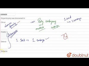 Polyembryony was discovered in: