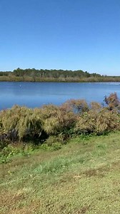 9.2K views · 114 reactions | Guys...this is inside a TENT勞....