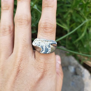 T-rex Fossil Wax Seal Signet Ring - Etsy