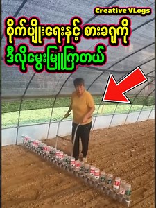 19K views · 96 reactions | ဂေါ်ဘီတွေကို ဒီလလိုစိုက်ပျိုးပြီး အကျန်တွေနဲ့ ခရုမွေးဖို့ ကြိုးစားကြတယ် 塞 Zero Waste Farming: How This Thai Farm Turns Trash into CASH! 塞 #reaction #farming #zerowaste #agriculture | Creative Vlogs | Facebook