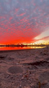 8.7K views · 1K reactions | So glad to be entering 2026 with the same strong, authentic, kind, fun, and sexy person by my side. #funny #authentic #2026 #babe #single | Nathan Martinelli | Facebook