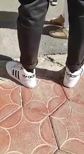 37K views · 687 reactions |  stay woke | ZED MEMES | Facebook