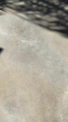 You heard it from the INBA PNBA World President himself! NEW MEDALS 🥇for our INBA PNBA Elite Natural Athletes! INBA PNBA Providing The Best Only To The Best In The World! Who will be the first Professional Athelte and Amateur Athlete to win one of these 7" Medals?!? WILL IT BE YOU?!? Visit naturalbodybuilding.com for the next competition nearest youRemember To Always Train Hard Train Smart Train NaturalDenny Z.Kakos ⚡️World President and Founder #INBA #PNBA #DreamBigger #RoadToNaturalOlympai #N