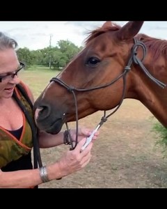 Deworming meds are an easy way to help horses who have worms. Besides checking their manure, if they start running their back ends against things, they probably have worms. You fill the oral syringe with the correct amount for their weight, squirt it above their teeth in their mouth, then raise their head. Throwback Thursday #thenakedrancher #nakedrancher #ranch #ranchlife #horse #horses #worms #meds #diy #doityourself #youcandoit #easy | The Naked Rancher