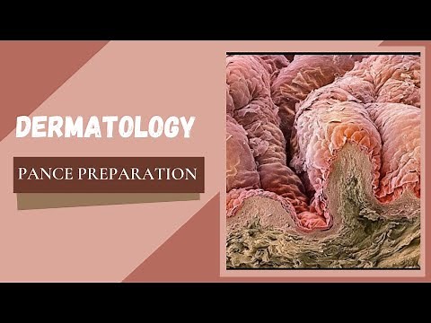 Dermatology: PANCE Preparation