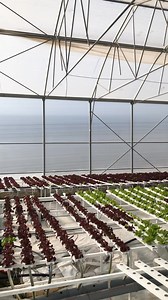 4.7K views · 32 reactions | #IATP #hidroponik #tower #NFT | Bujqësia Moderne | Facebook