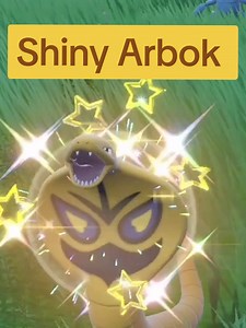 ShinyHunting on TikTok