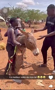 2M views · 10K reactions | African kan somalia damerkoda ku dhel dhelay waxii ku dhacay pal arag | Ali owlibaax | Facebook