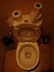 How to Remove Lime Scale from a Toilet | Homesteady