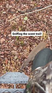 26K views · 128 reactions | Walking in with estrous on your boots bring them in close 藍 . . . #hunting #deerhunting #reels #outdoorhuntinglab | The Huntin Grounds | Facebook