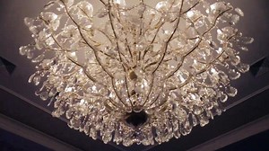 StillGoode Consignments on Reels