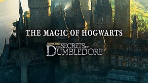 The Real! Harry Potter - Young Adult or Occult?