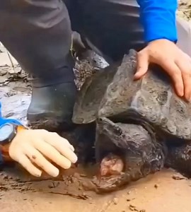 6.9K views · 13 reactions | Science Boy on Reels | Facebook